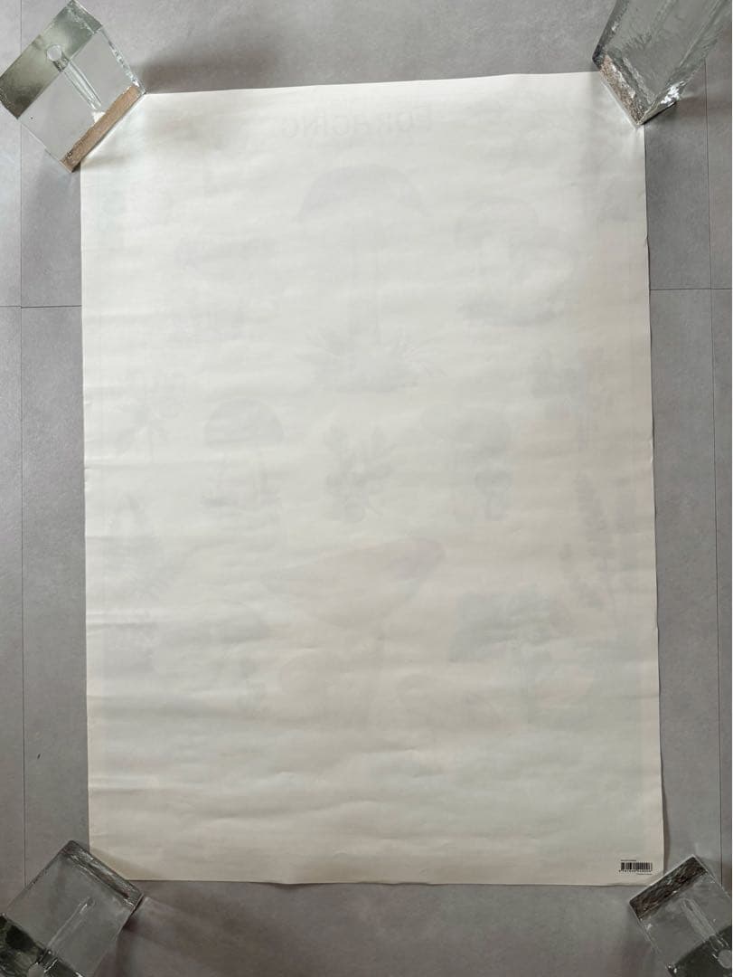 古着 ビンテージ USA きのこ 植物図鑑 サイケデリック ポスター 希少 美品