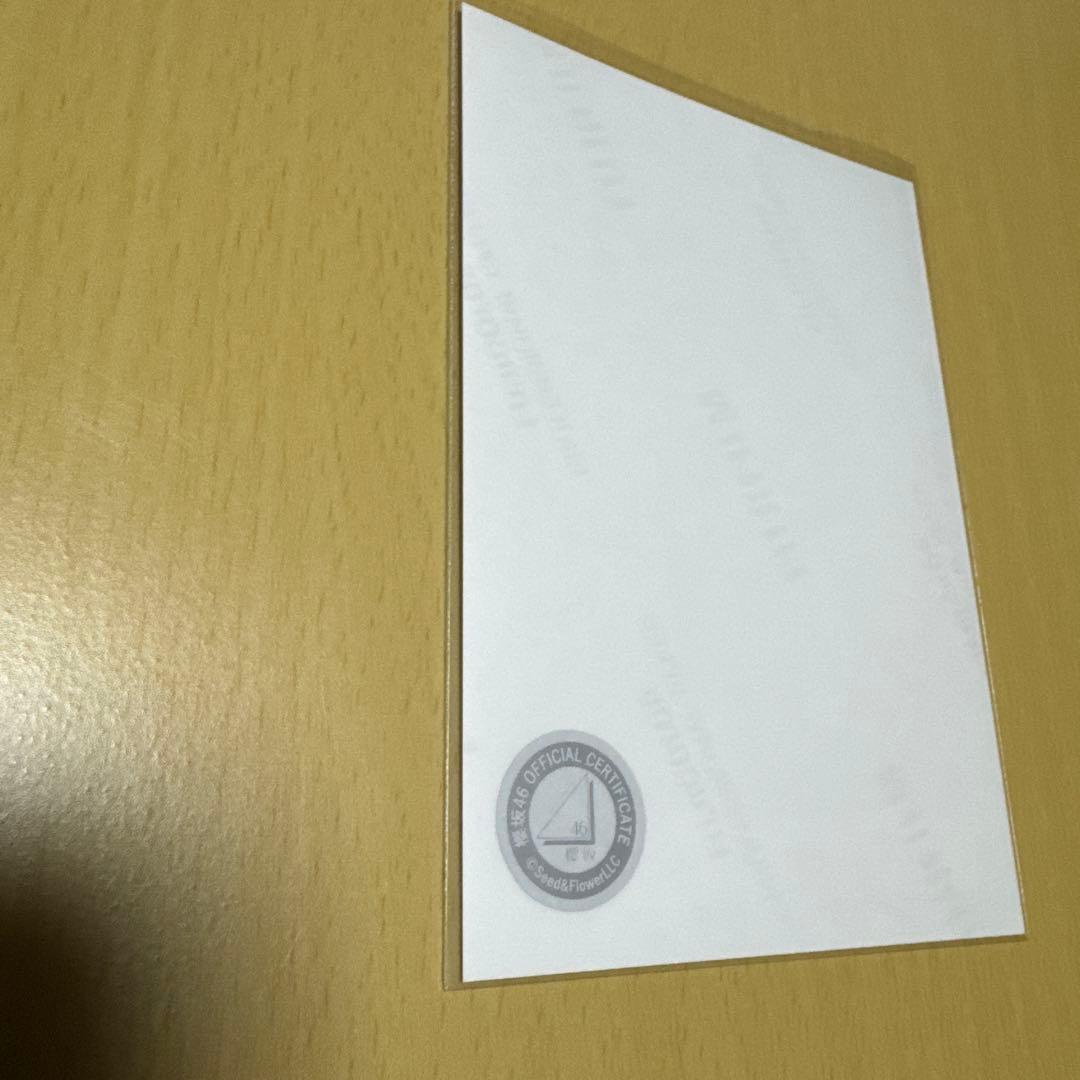 櫻坂46 浅井恋乃未 【 2025年 サンタ衣装（直筆サイン入り）】 全身 1枚