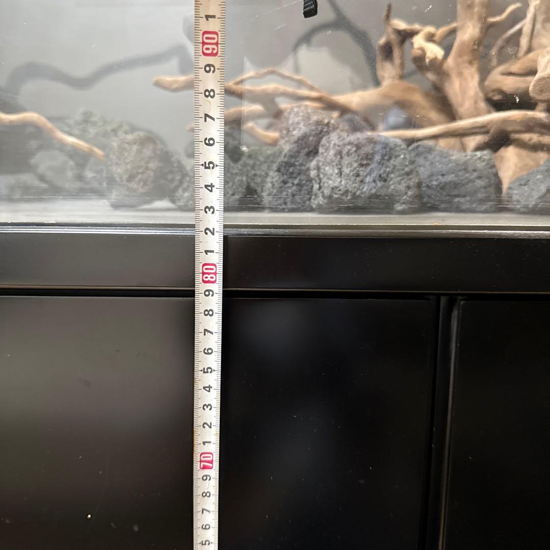 大きなガラス水槽 内蔵フィルター付き