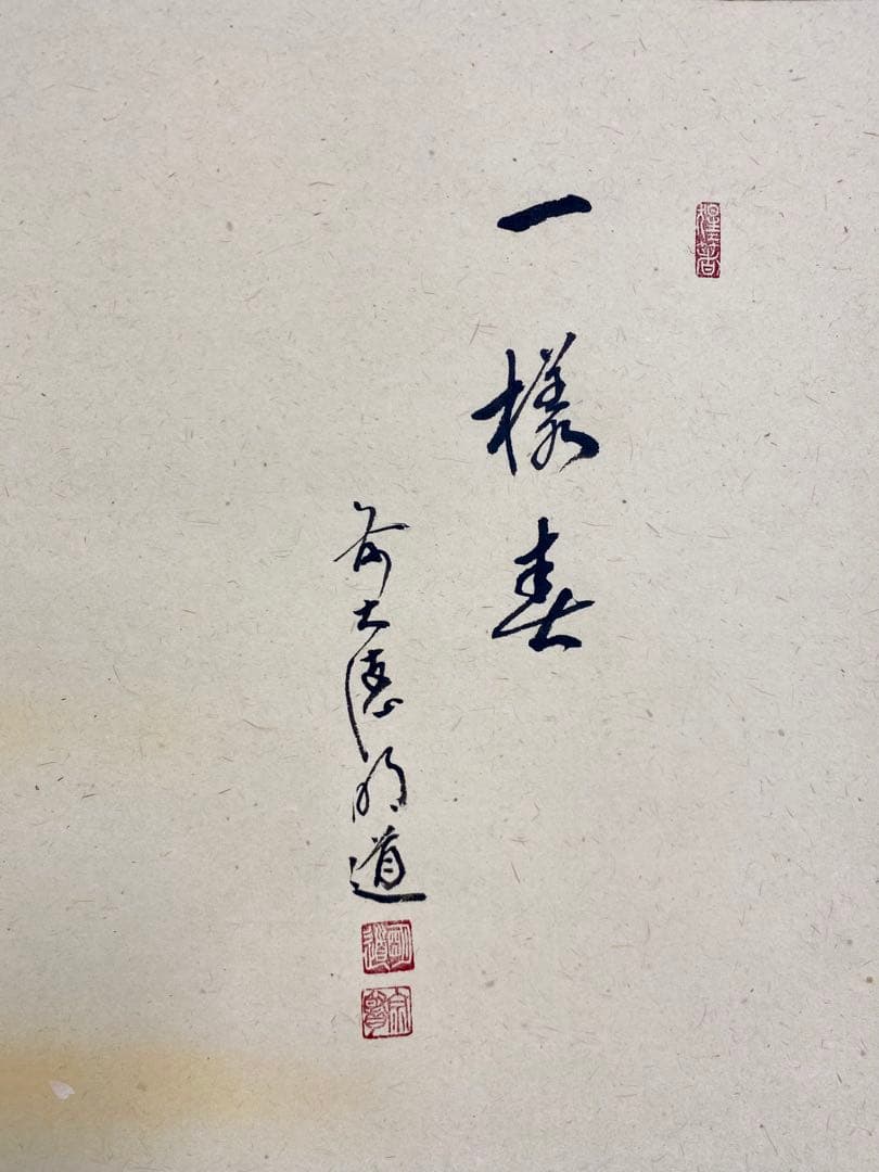 掛軸 茶掛 戸上明道【一様春】自筆 桜 画讃 玉瀧寺 大徳寺 住職 横物 軸装