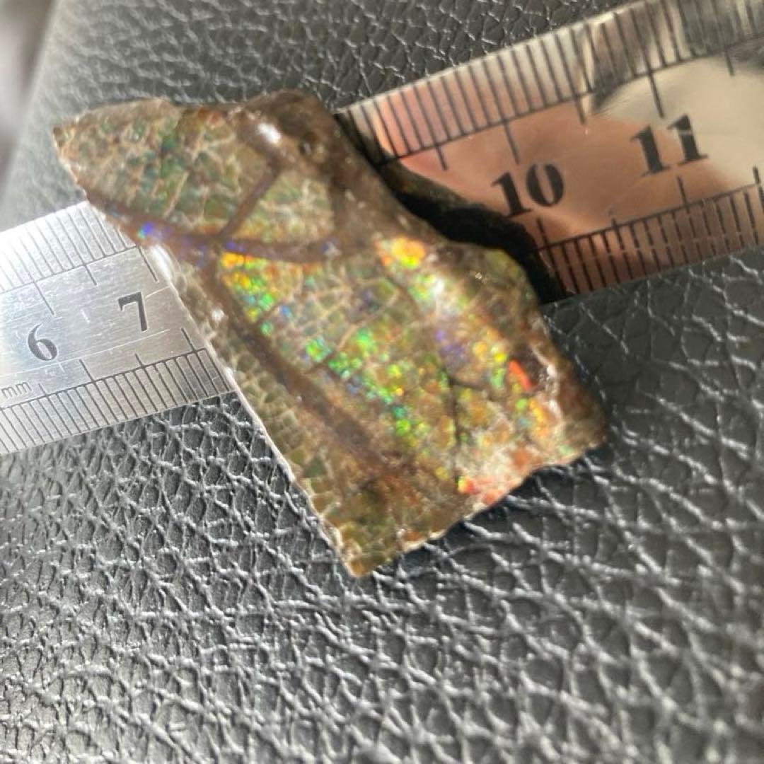 アンモライト　両面　化石　天然石 ルース