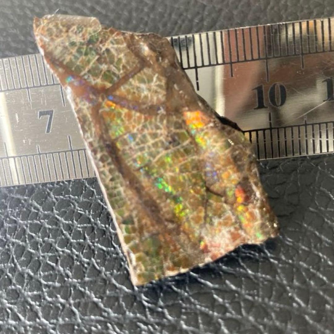 アンモライト　両面　化石　天然石 ルース