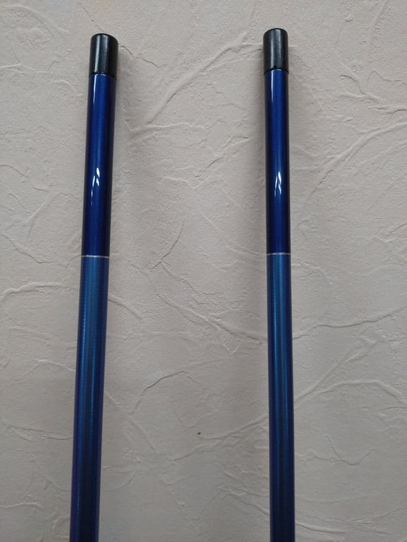 ヘラブナ 竿 ★ダイワ ヘラF 19尺