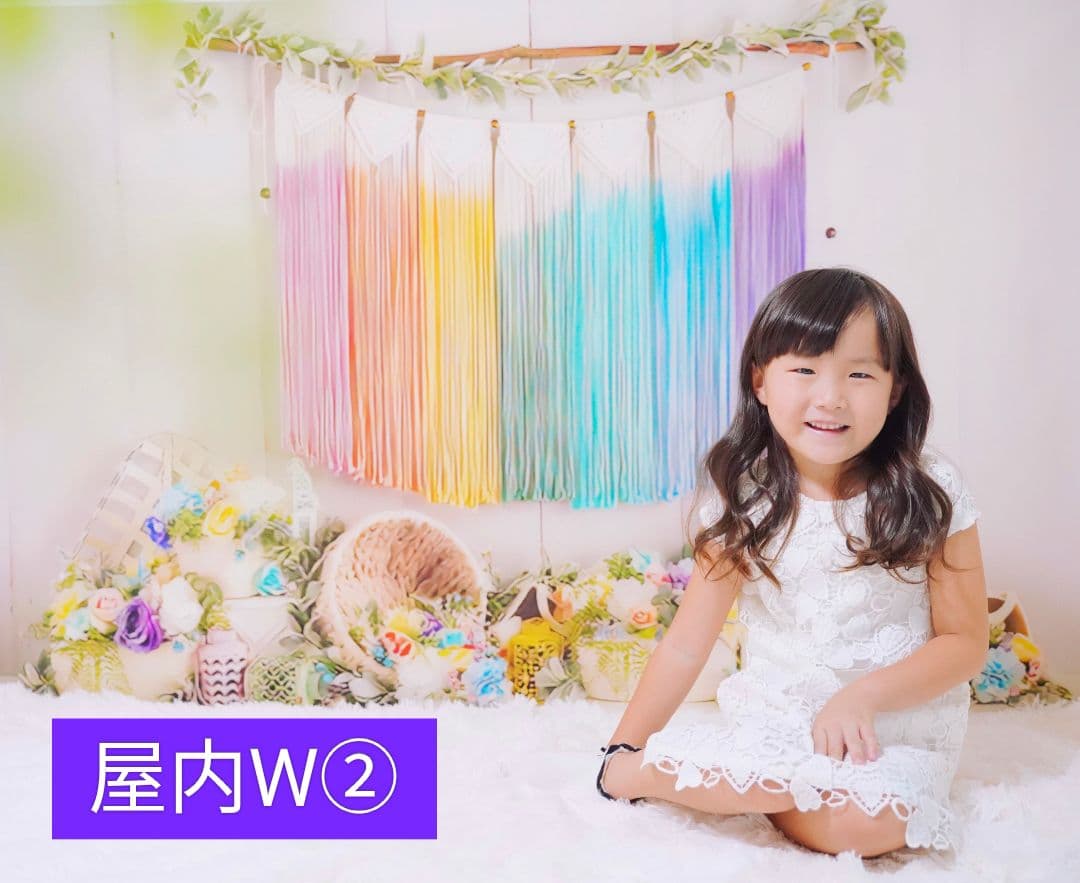 背景布×10枚+2　ペット撮影用フォトブース　トリミングチョーカー販売中