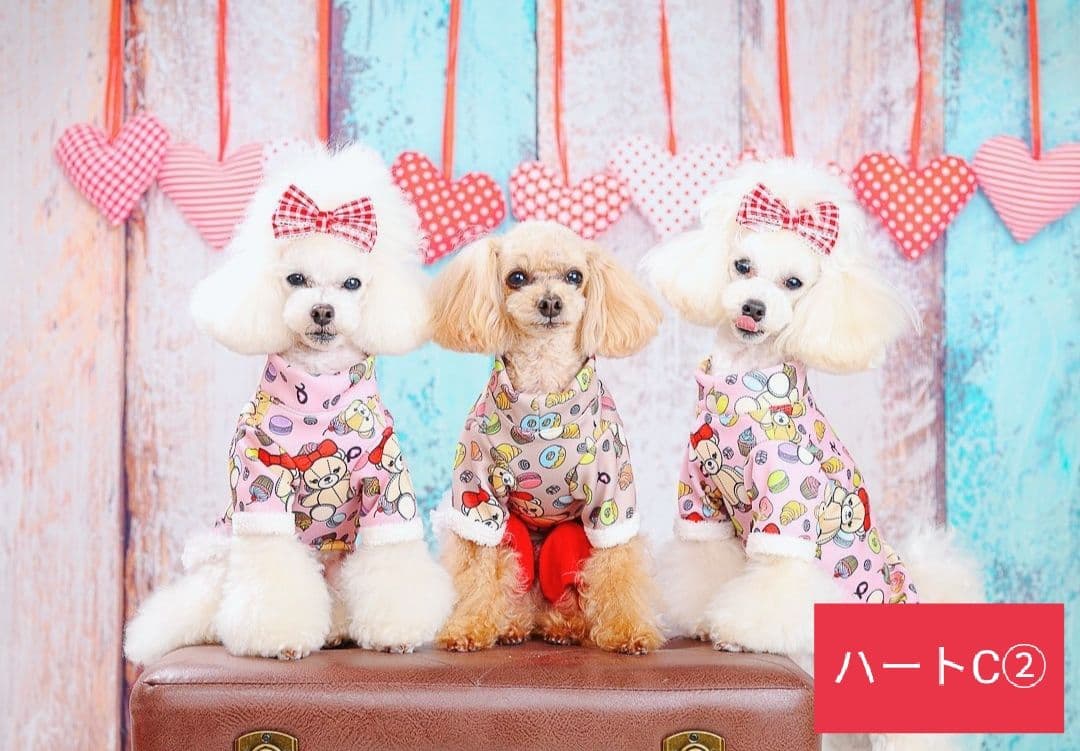 背景布×10枚+2　ペット撮影用フォトブース　トリミングチョーカー販売中