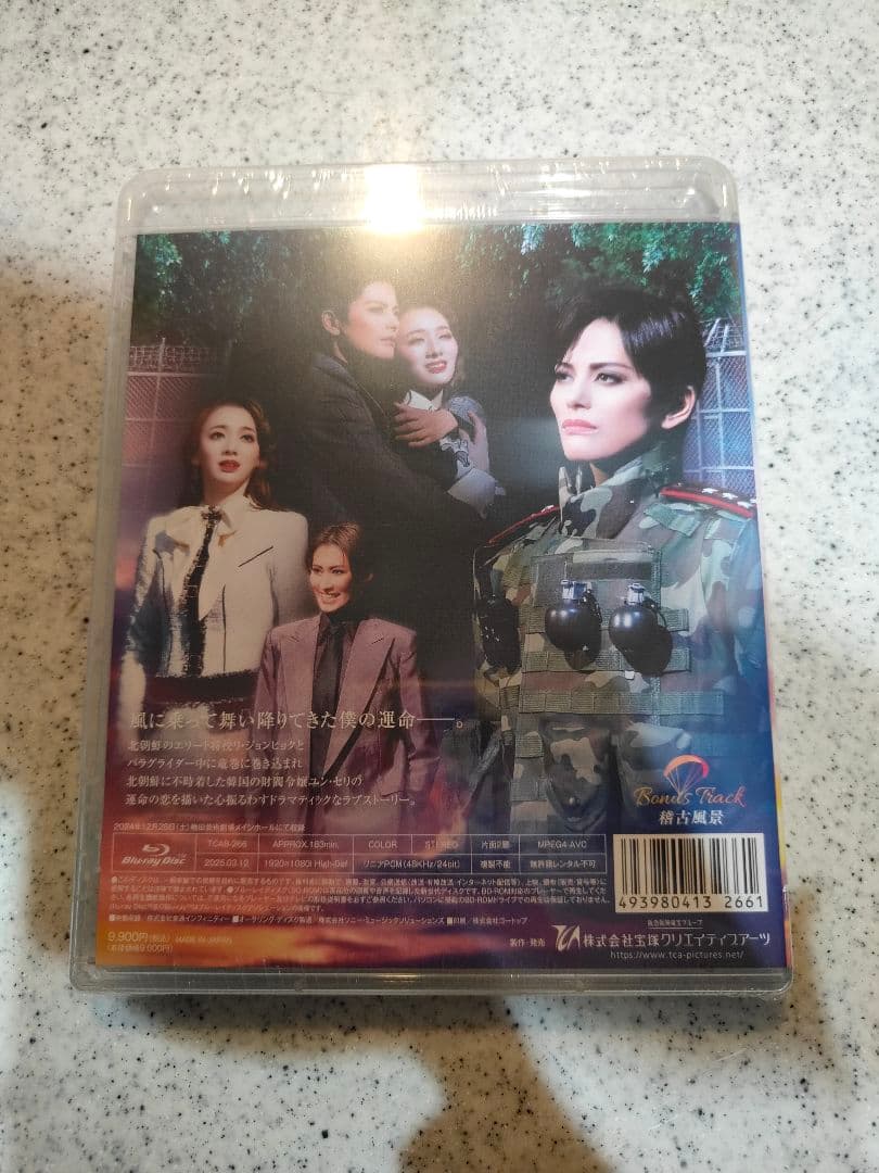 雪組 梅田芸術劇場公演 ミュージカル 愛の不時着