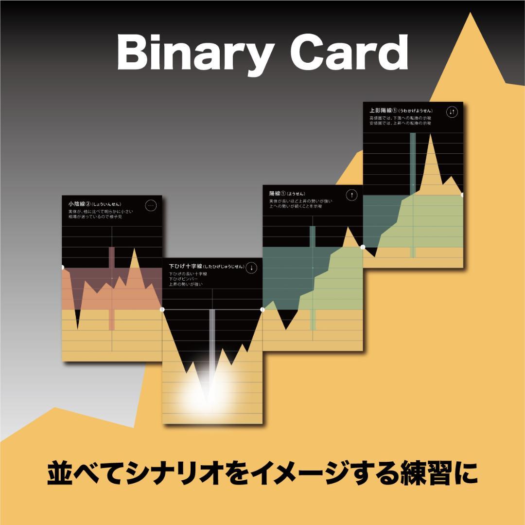 講座用｜5点まとめ｜バイナリーカード｜教材｜新品未使用｜学習教材｜ハイロー