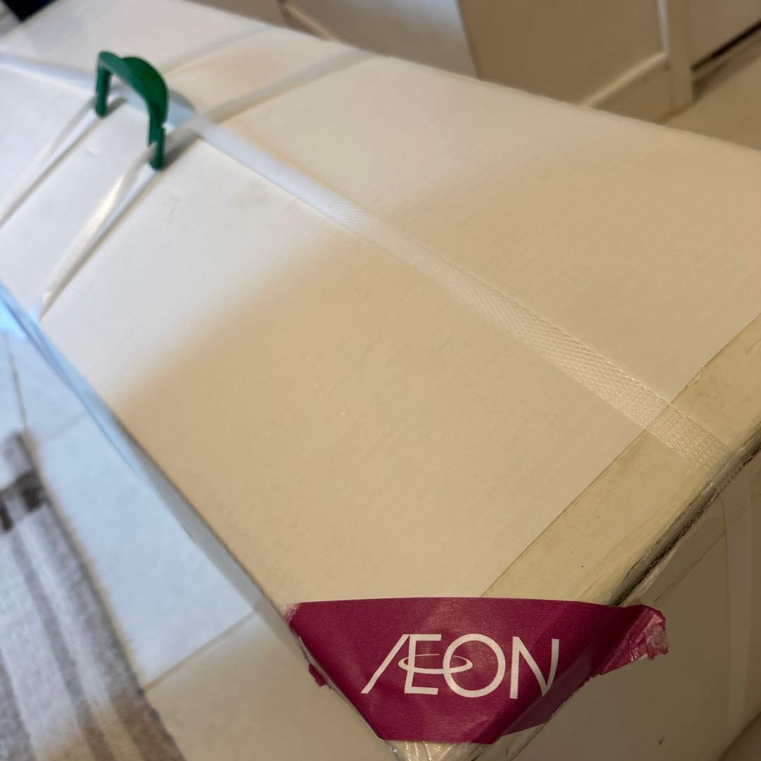 未使用  peak Land Station L IVORY