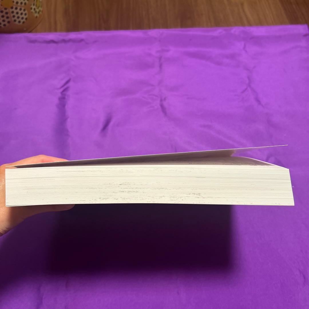 【初版本】 血煙の石川五ヱ門 雨の棚田 原画集