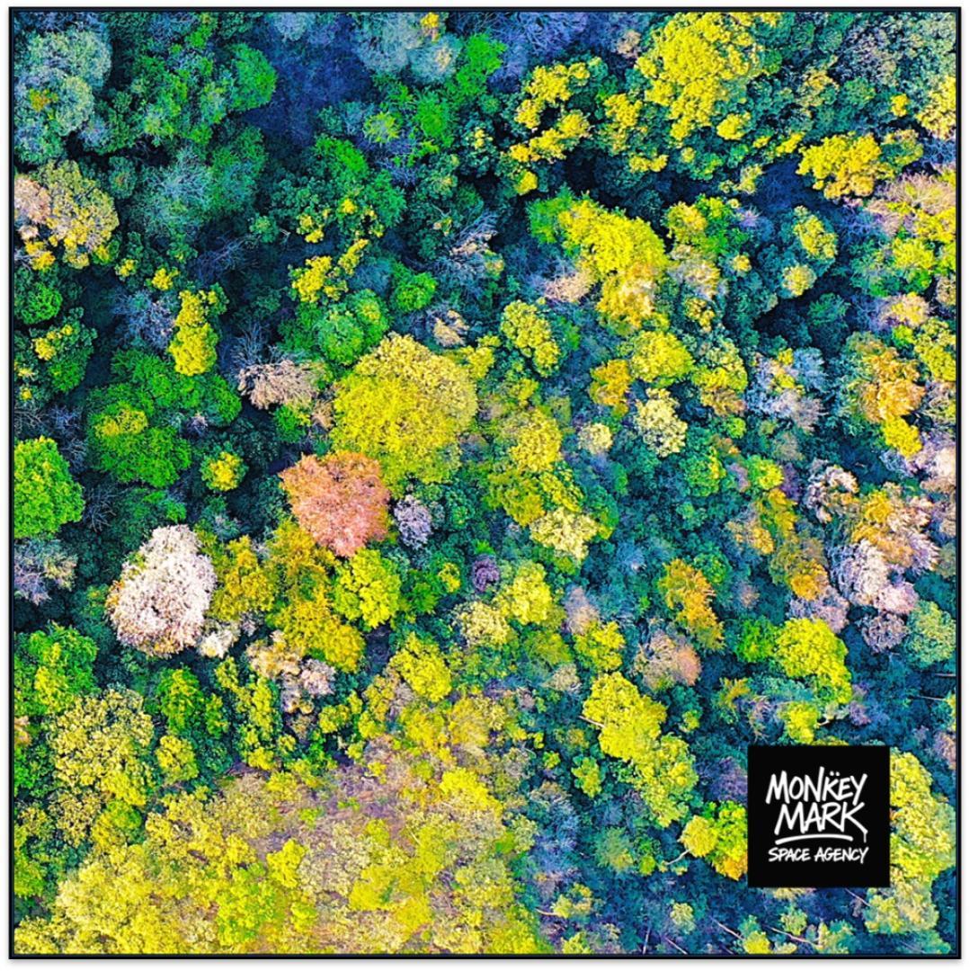 Primate Forest - 森アートポスター A1