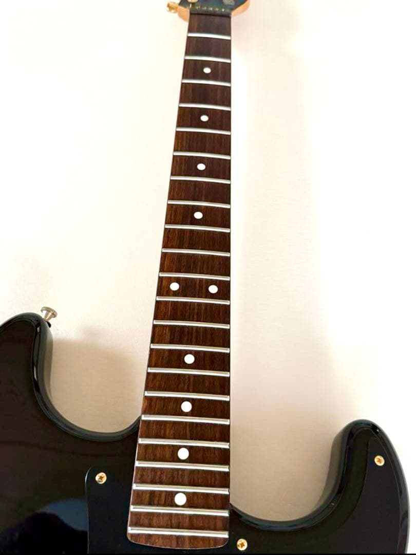 美品中古レア個体♪ Bill Lawrence BCOR シャケモデル