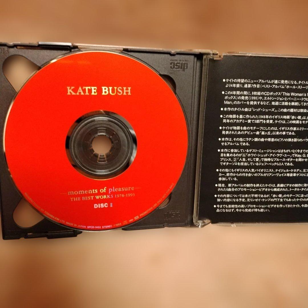 KATE BUSH ケイト・ブッシュ