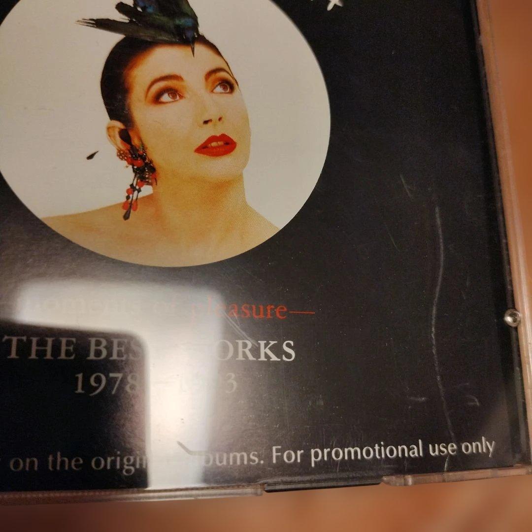 KATE BUSH ケイト・ブッシュ