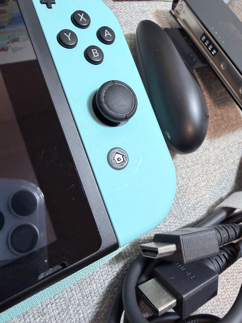 Nintendo Switch あつまれどうぶつの森セット 公式ケース 本体一式