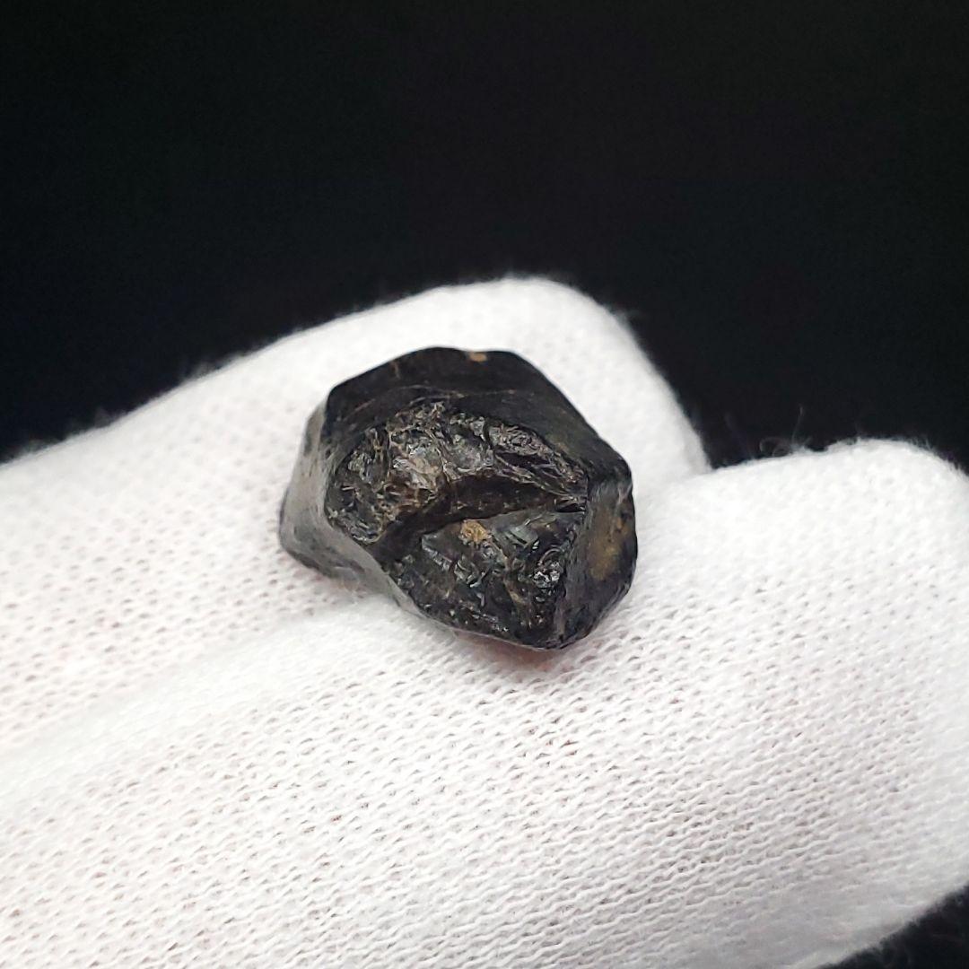 希少 イグアノドン 恐竜 歯 化石 イギリス諸島産 17.77mm fr63