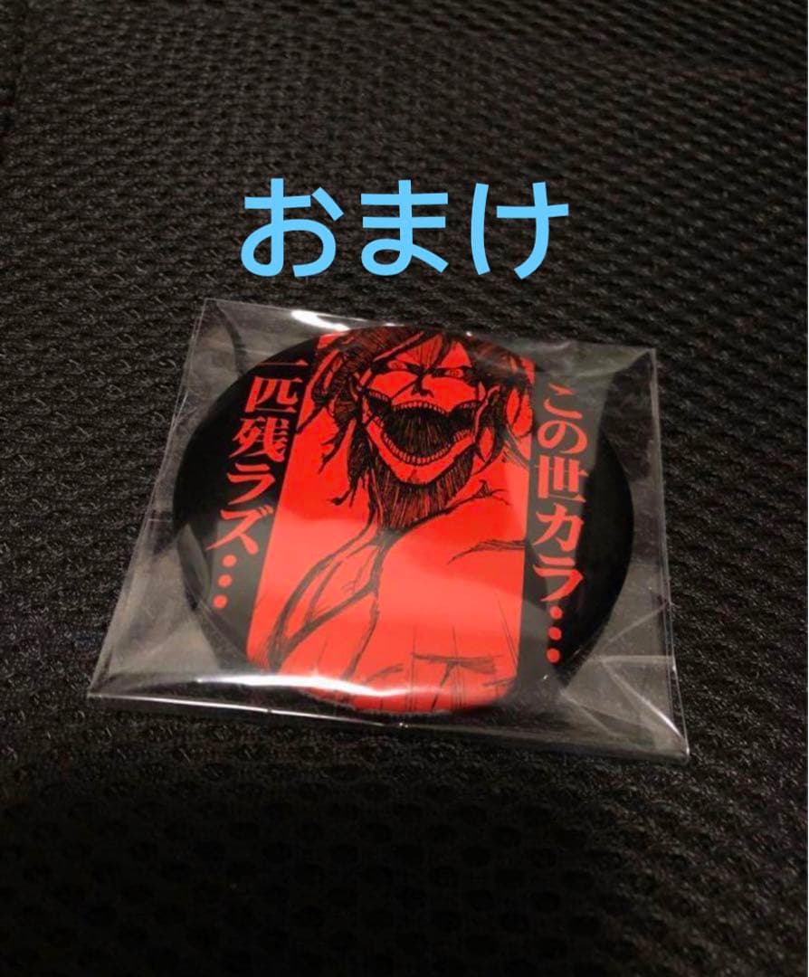 進撃の巨人　缶バッジ　エレン　JOYPOLIS　27点セット