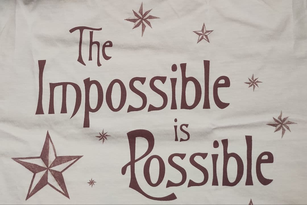 スマッシング・パンプキンズ メロンコリー30周年限定 Tonight Tシャツ