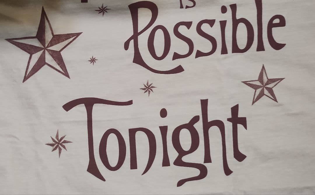 スマッシング・パンプキンズ メロンコリー30周年限定 Tonight Tシャツ