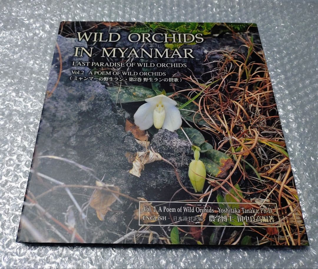 ミャンマーの野生ラン WILD ORCHIDS IN MYANMAR 〜