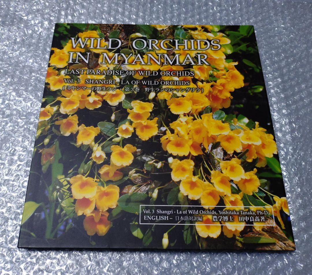 ミャンマーの野生ラン WILD ORCHIDS IN MYANMAR 〜