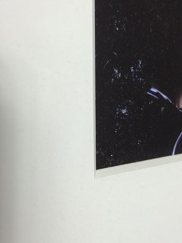 額装品/Bjork/ビョーク/Warren Du Preez2004/インテリア