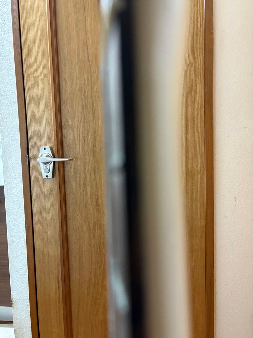 バッカス、テレキャスター タイプ、エレキギター