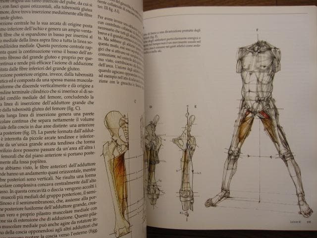 アート・デザイン・音楽 Struttura uomo in movimento