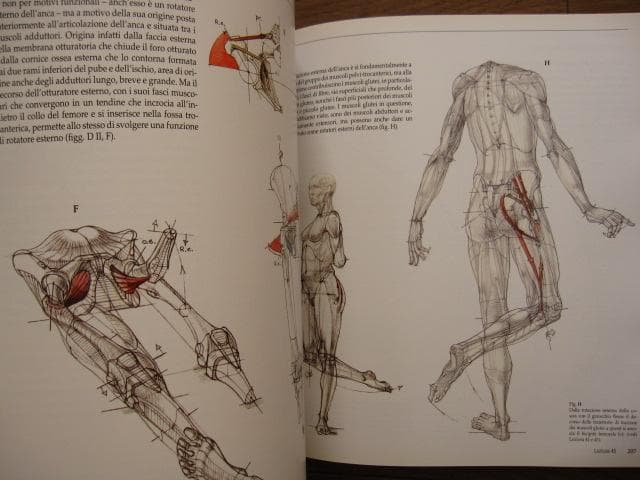 アート・デザイン・音楽 Struttura uomo in movimento