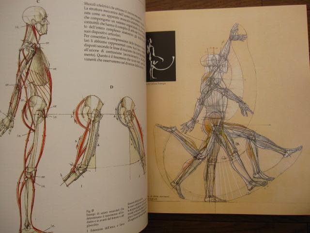 アート・デザイン・音楽 Struttura uomo in movimento