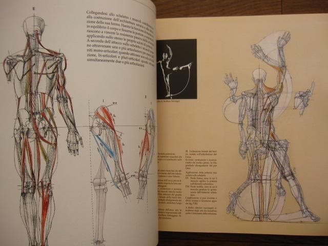 アート・デザイン・音楽 Struttura uomo in movimento