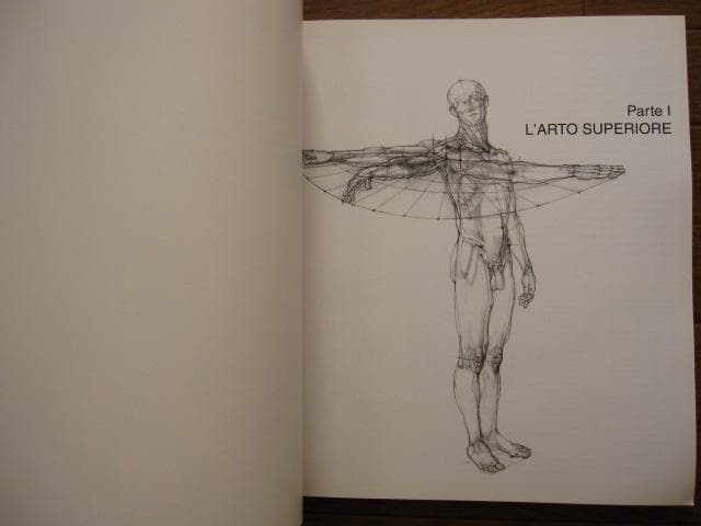 アート・デザイン・音楽 Struttura uomo in movimento