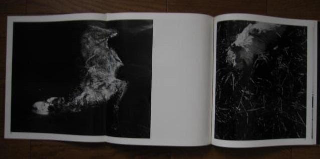 河：累影　森永純　W. Eugene Smith　W.ユージン スミス　邑元社