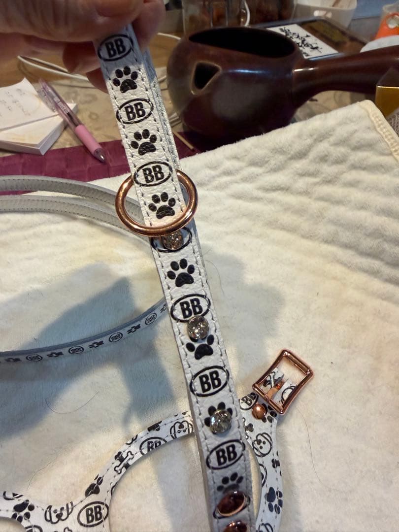 バディベルトブラン2.５号