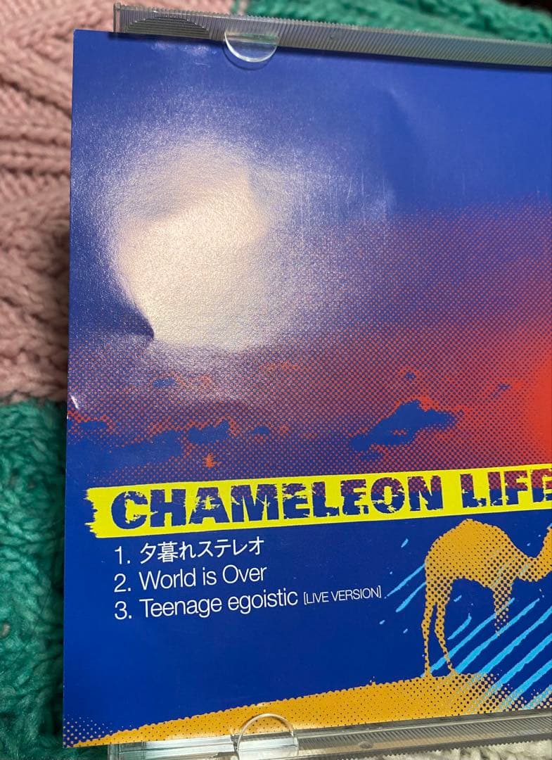 カメレオンライフ　夕暮れステレオ　秋田ひろむ