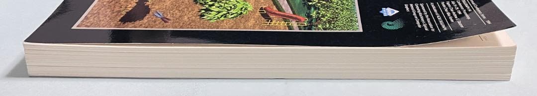 コンピュータ・IT COMPUTER GRAPHICS PROCEEDINGS 1994