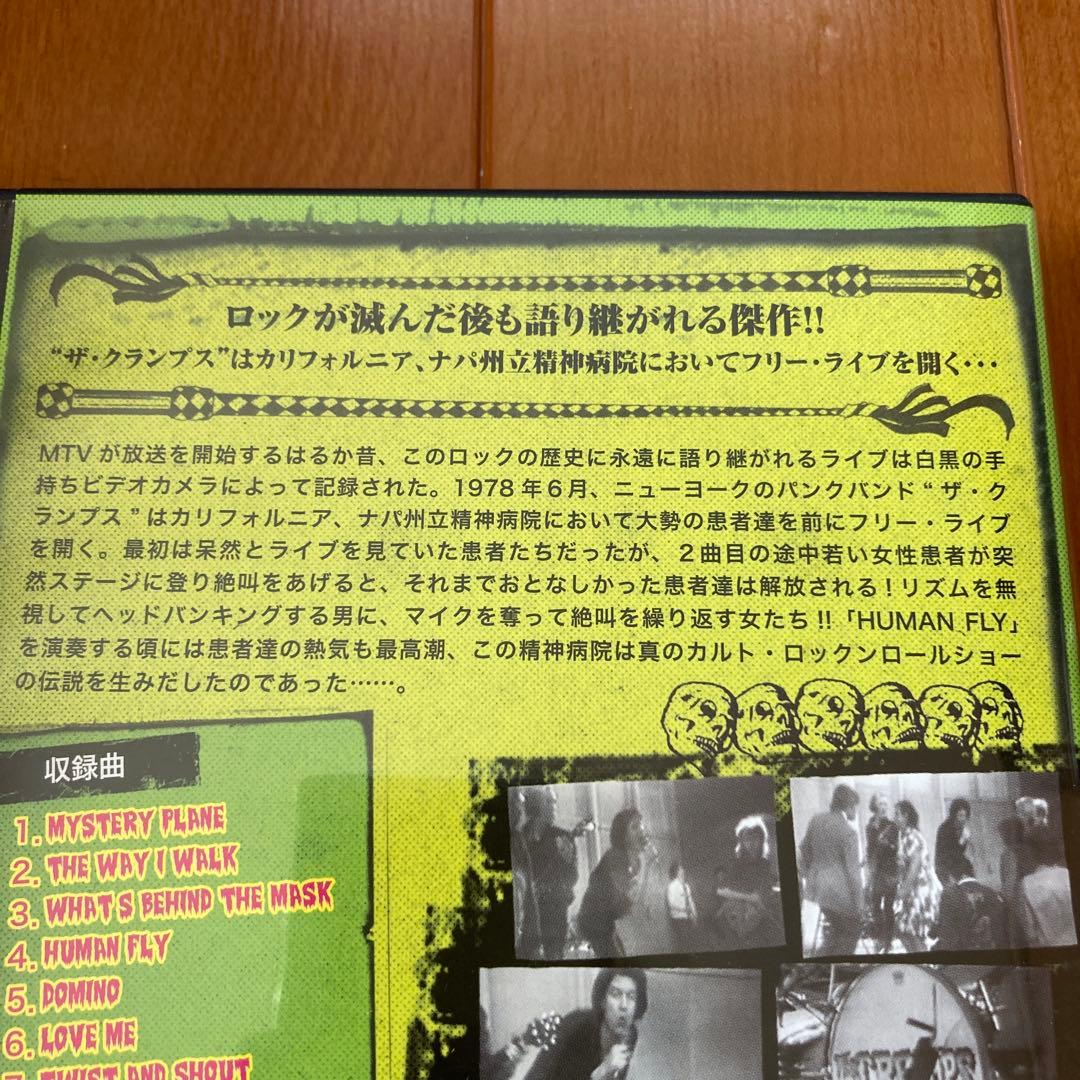 THE CRAMPS 精神病院ライブ　DVD クランプス