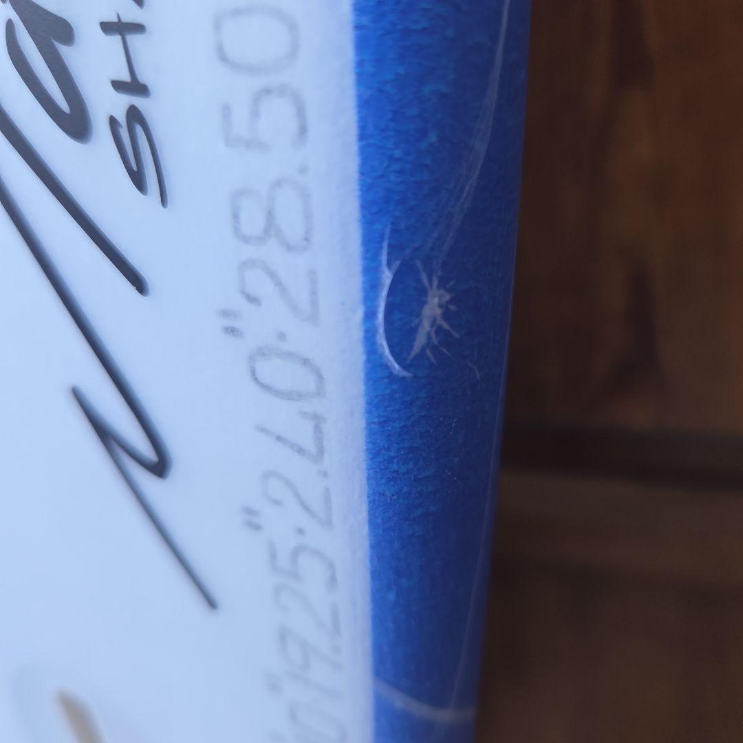 サーフィン・ボディボード 3.0STABD Light speed2