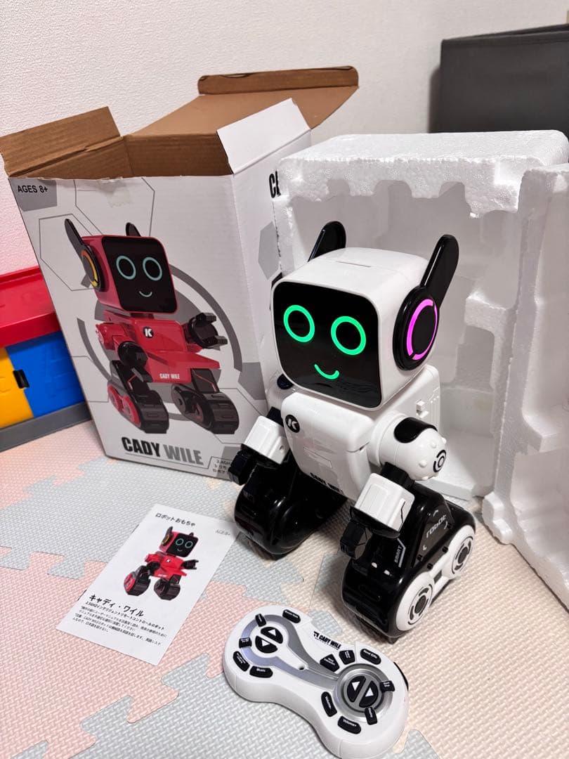 Cady Wile ロボットおもちゃ