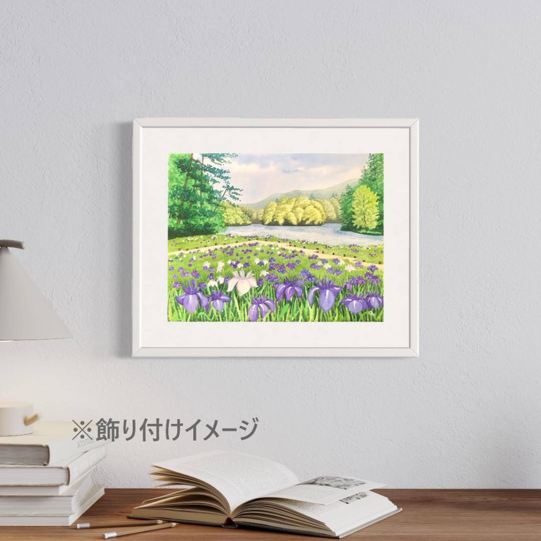 透明水彩画　原画　「カキツバタの咲く水辺」額縁付　F6サイズ　風景画