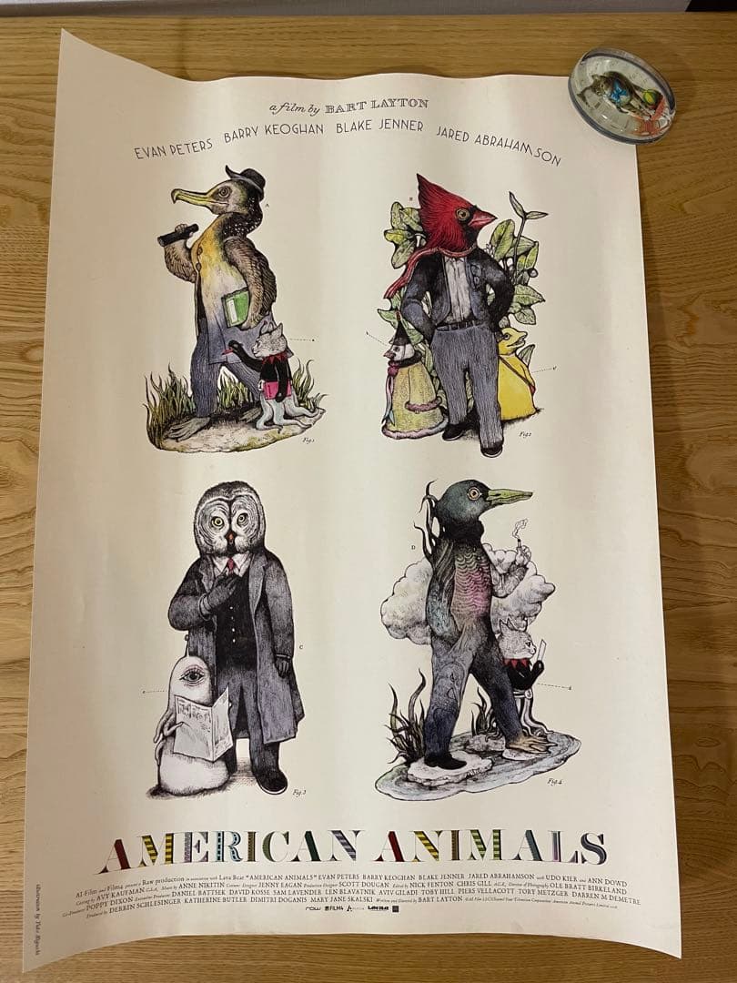 ヒグチユウコ　AMERICAN ANIMALS 映画ポスター