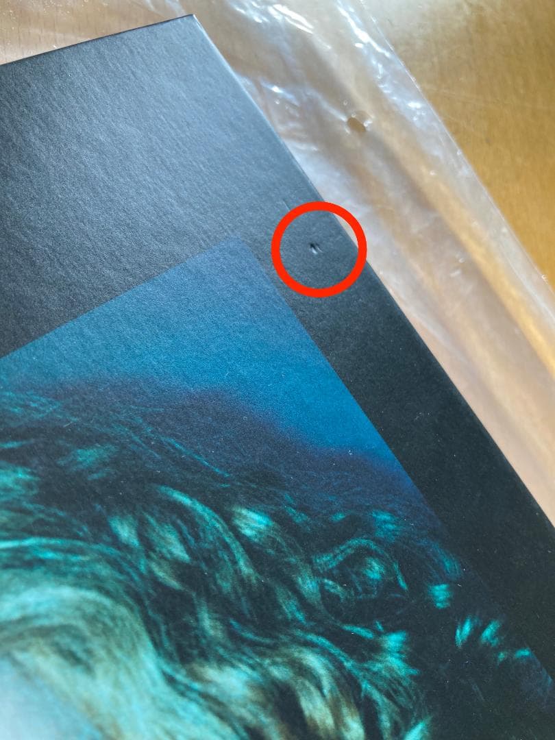 【美品】Corinne Day: Diary