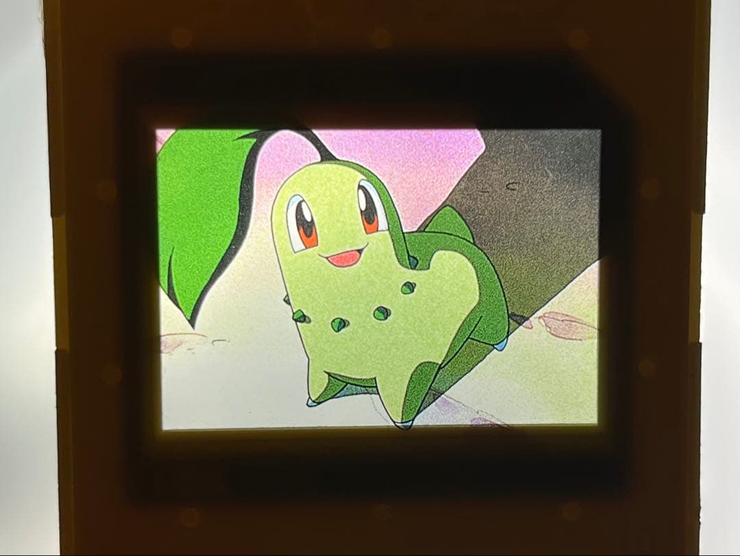 meij ポケモン ピクチャーフレーム チコリータ