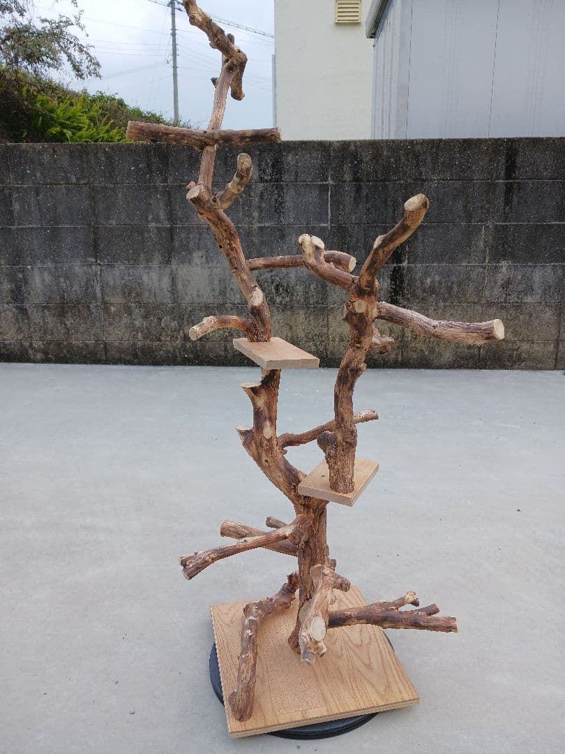 バードアスレチック バードアスレチックジム 止まり木、小鳥、流木(焼き入れ)