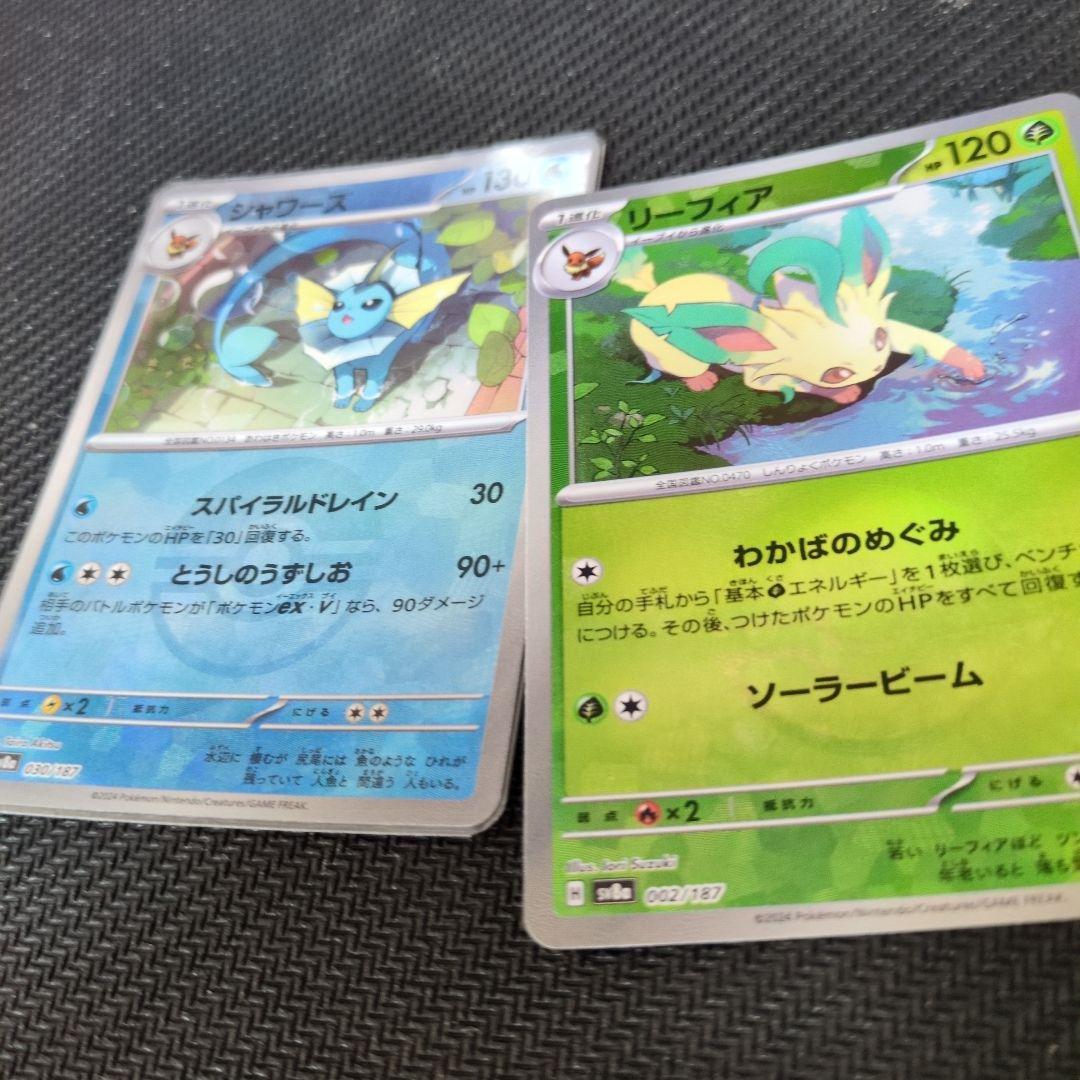 ブイズまとめ売り