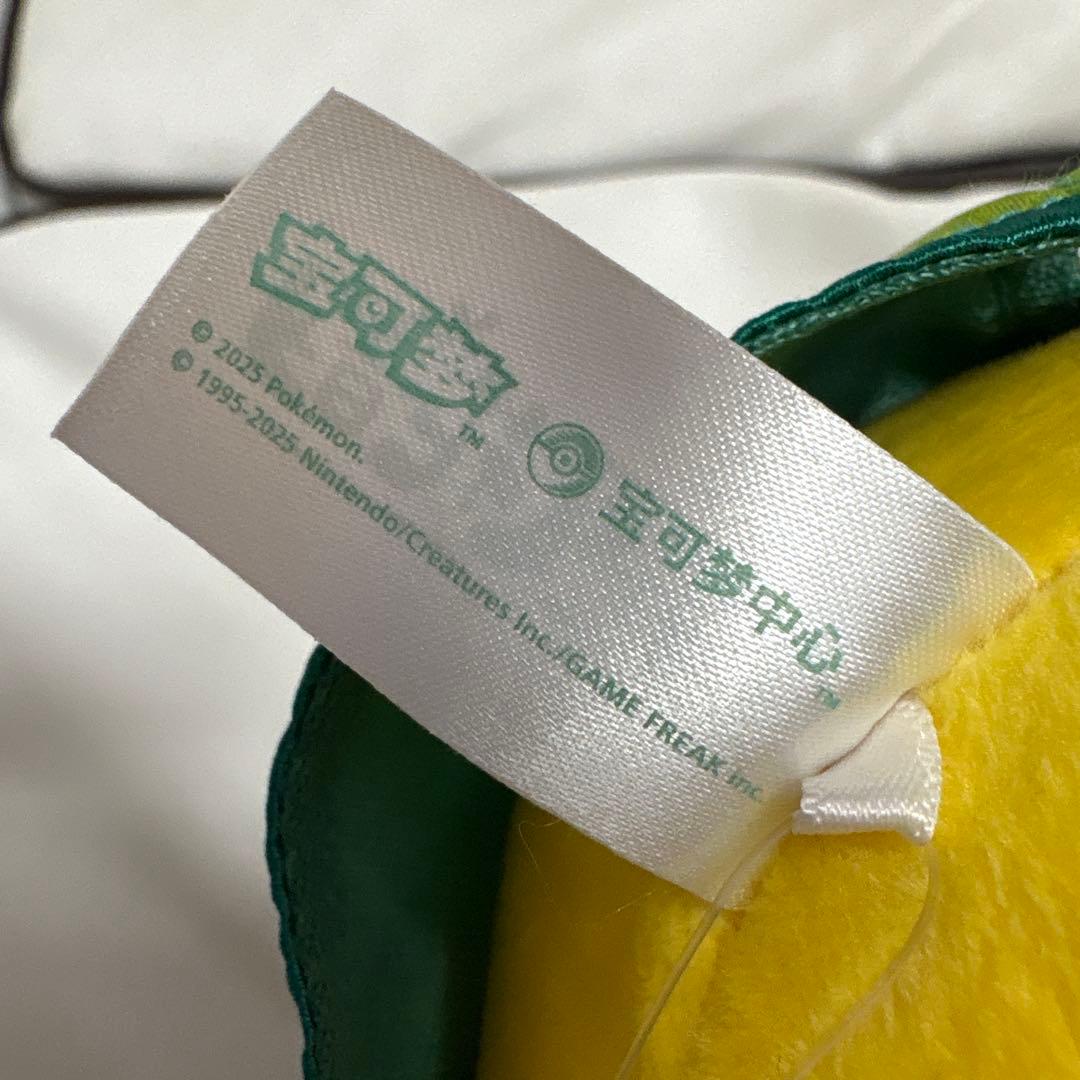 海外限定 ポケモン ピカチュウ 2体セット 漢服コスチューム　pokemon