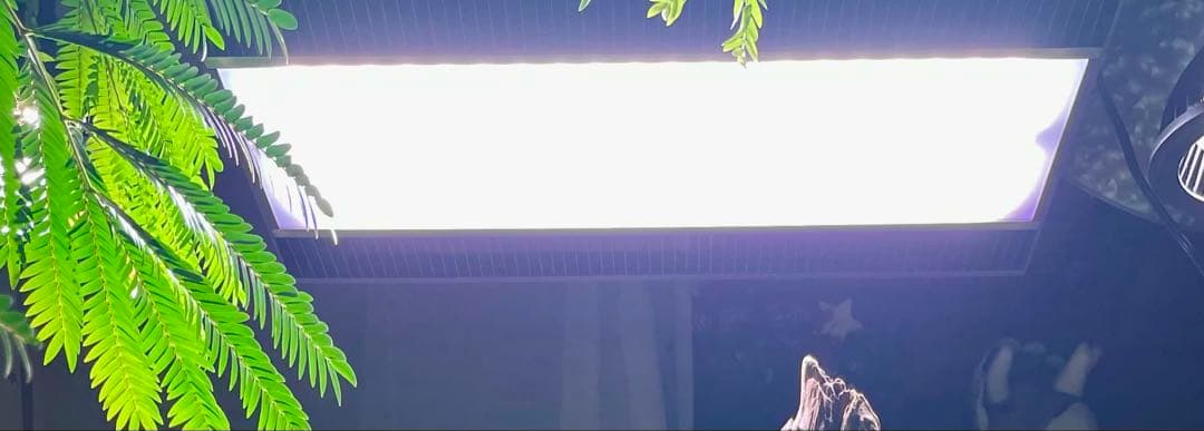 ADAソーラーRGB ADAプロシザースショートADAプロシザースウェーブ