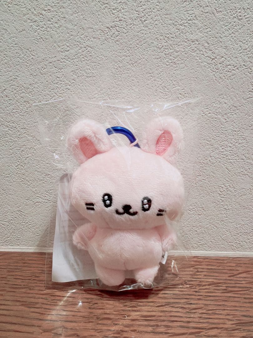 【新品・未開封】SJ SS10日本 ぬいぐるみキーホルダー(ウニョク&ドンへ)