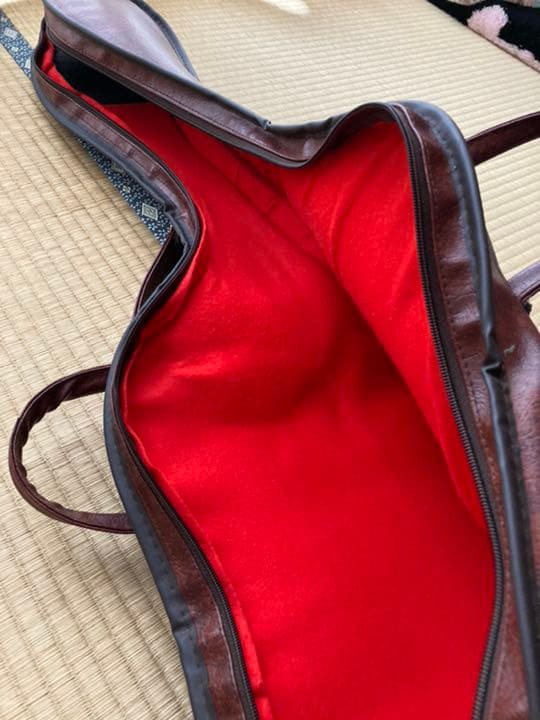 エレキギター　Aria ProⅡ RS INAZUMA-V おまけ付き