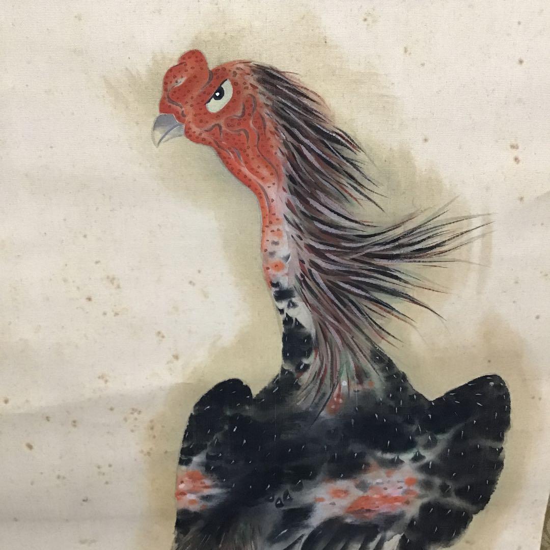 K茶道具　掛軸　「軍鶏(しゃも)」の図　川良子作　配送用桐箱　S1003KJ