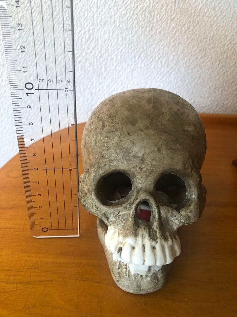 ビンテージ　スカル　髑髏　骸骨　骨董　ミッドセンチュリー　灰皿　アンティーク